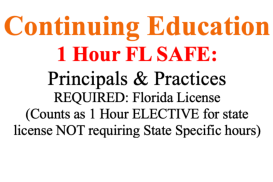 ( CE24 1 Hour FL SAFE: Principles &amp; Practices